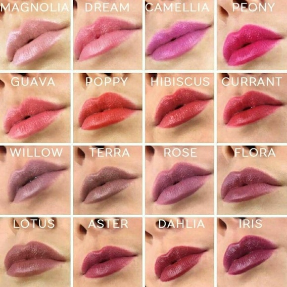 arbonne lipstick